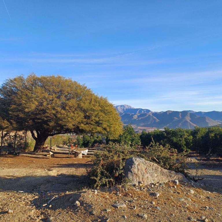 Casa Mamalluca - Three-Bedroom House - 25