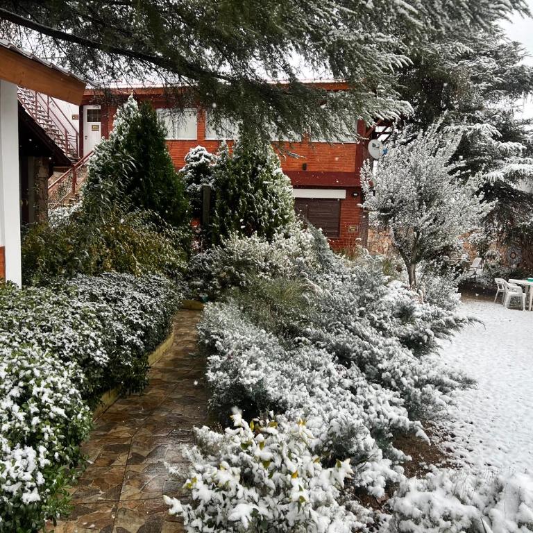 Ashram Asociación Argentina de Yoga - Casa con 1 dormitorio - 3