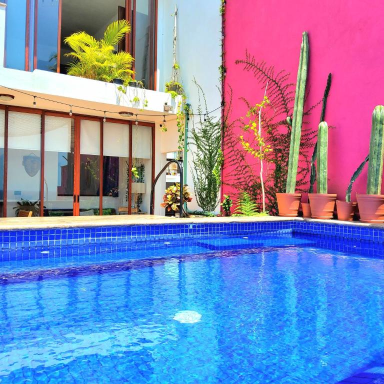 Casa Sunset, Best Ocean Views in the city - Apartamento Deluxe de 1 dormitorio con vistas al océano - 4