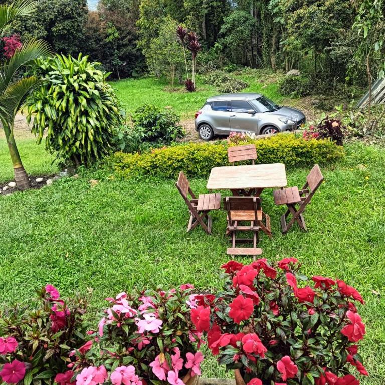 Villa Alegría - Casa - 16