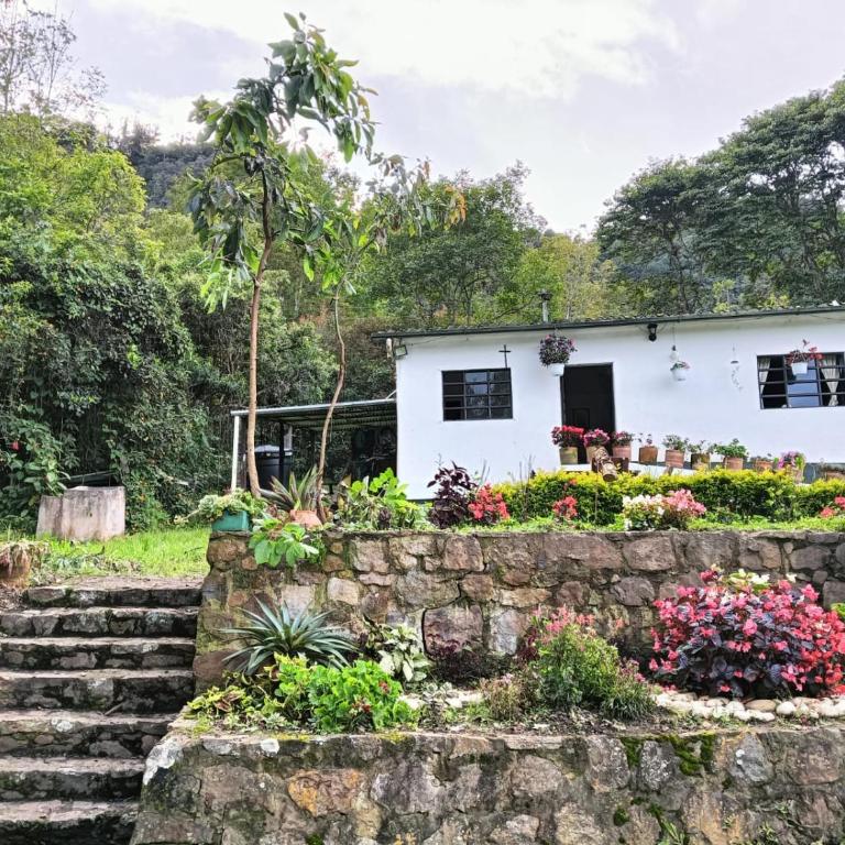 Villa Alegría - Casa - 12