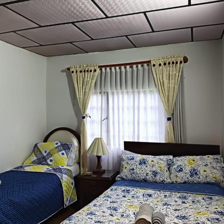 Villa Alegría - Casa - 11