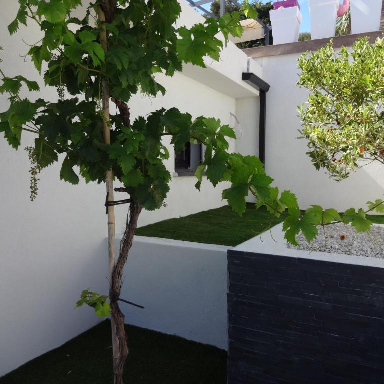 La VILLA SANARY Coeur de Portissol - Parking privé- Prise recharge voiture - Villa 2 Chambres - 25