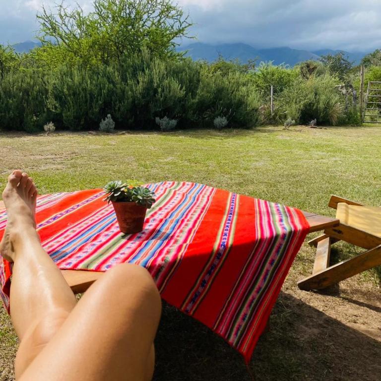 Glamping Traslasierra Carpa Norte - Tent - 16