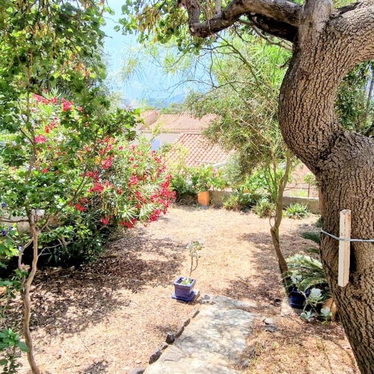 Appartement T3 avec jardin à Banyuls, parking inclus - FR-1-309-35 - Apartment mit 2 Schlafzimmern - 2