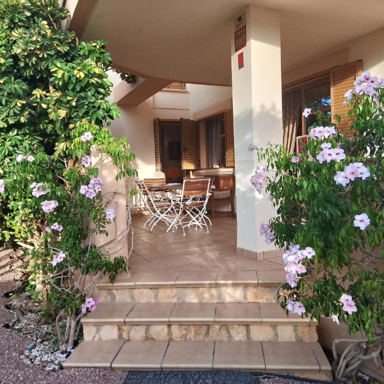 Deluxe garden flat near Terra-Mítica - Apartamento con terraza - 35