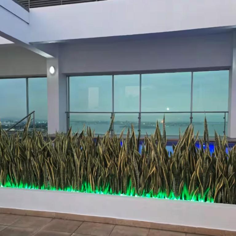 Suite frente al rio Puerto Santa- Guayaquil - Suite with River View - 28
