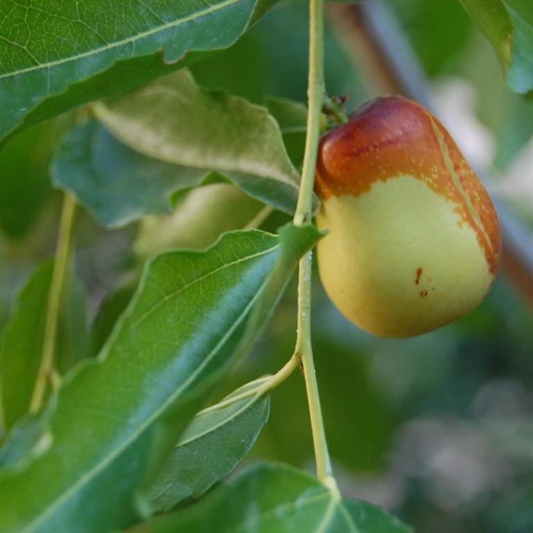 Vila Montenegro - One-Bedroom Apartment - 47