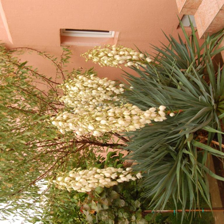Vila Montenegro - One-Bedroom Apartment - 21
