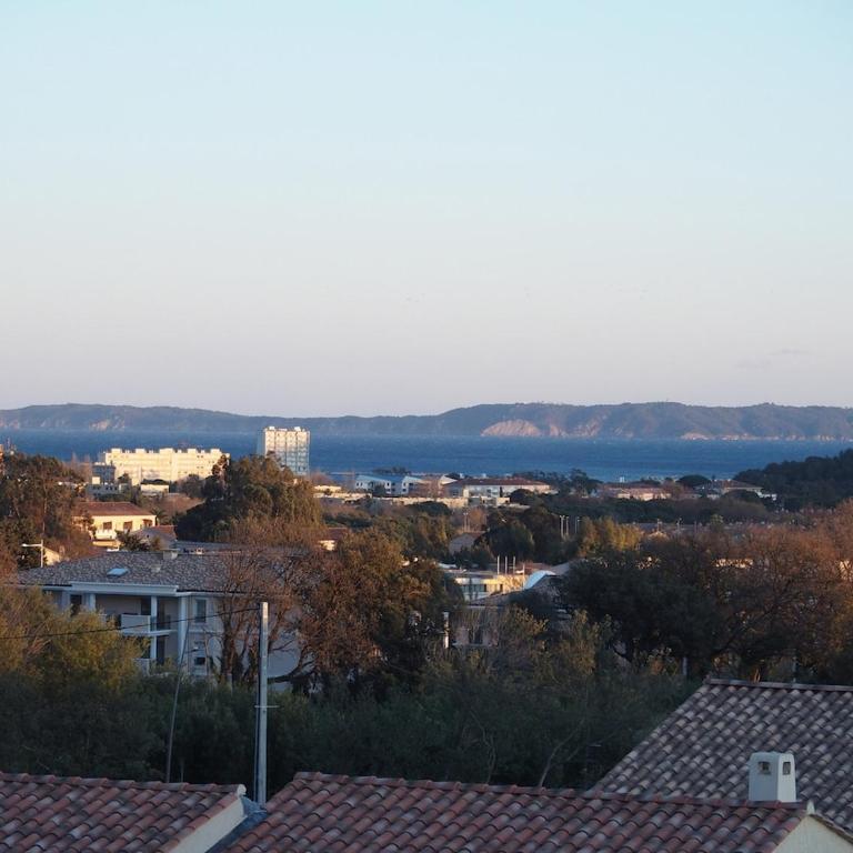 T2 CALME BORMES-Les-MIMOSAS - Appartement 1 Chambre - 13