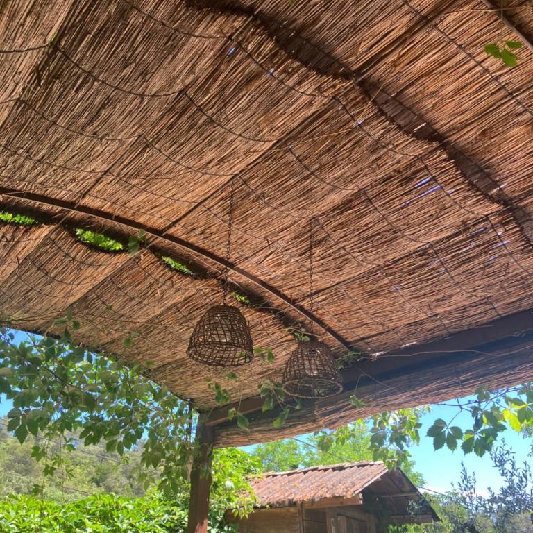 Jolie annexe du mas dans le cœur de la garrigue nîmoise - Maison 2 Chambres - 52