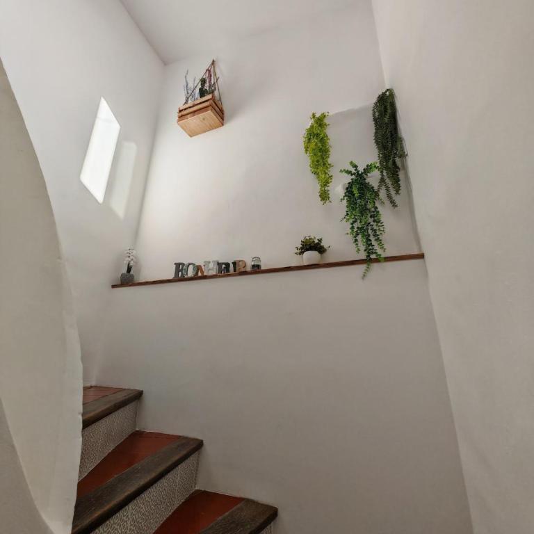 Maison familiale avec Jacuzzi - Maison 3 Chambres - 11
