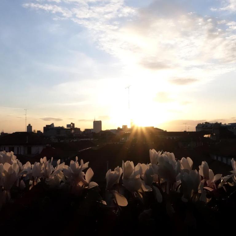 Pattini Guest House - Superior Double Room - 23