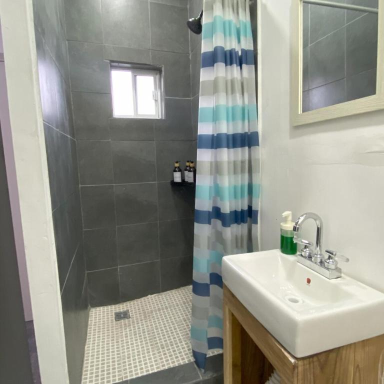 DGM Lofts GPE 8 cerca stadium Rayados MTY - One-bedroom Loft Apartment - 7