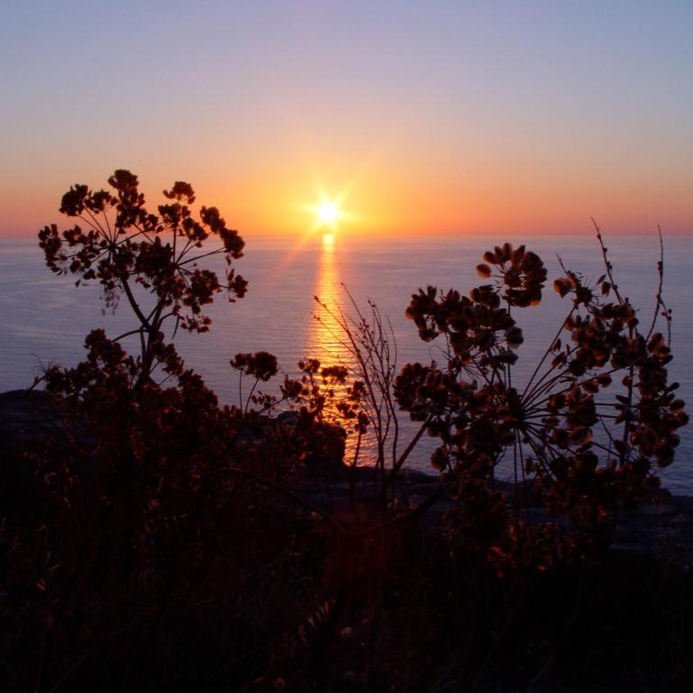 Le Case del Borgo - Perla - Appartamento Monolocale con Vista Mare - 34