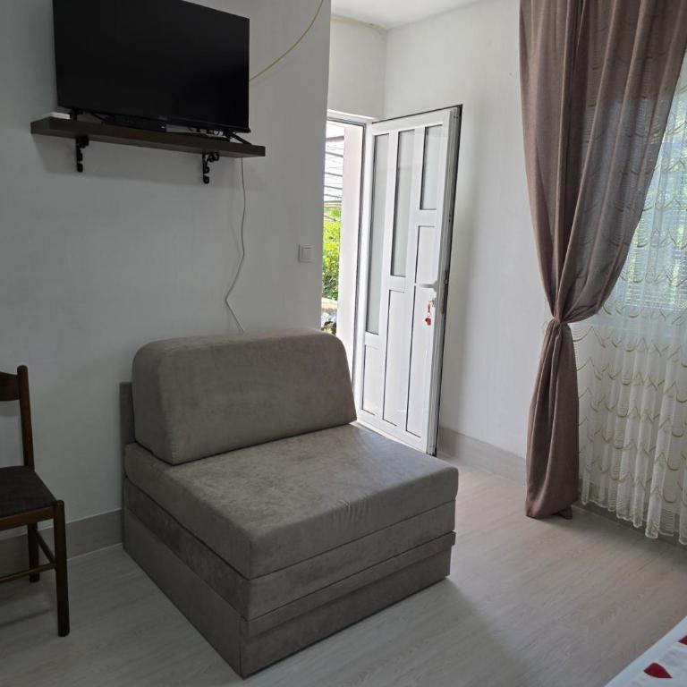 Jovanovic Apartment - Apartman s 1 Spavaćom Sobom i Vrtom - 4
