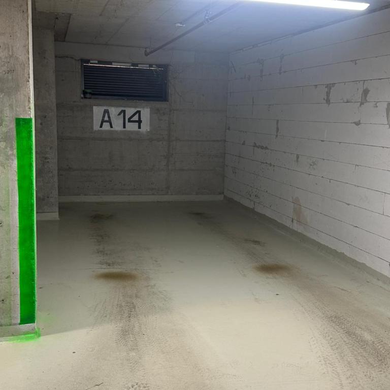 Lux apartman sa garažom - Apartman sa 1 Spavaćom Sobom - 31
