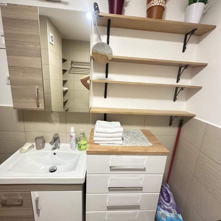 Lux apartman sa garažom - Apartman sa 1 Spavaćom Sobom - 25