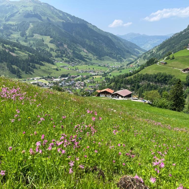 Langrieshof - Apartment mit Gartenblick - 18