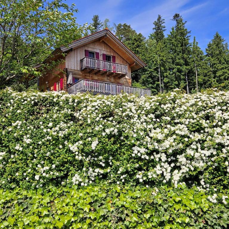 Großes Ferienhaus mit 5 Schlafzimmer & 4 Bäder - Haus mit 5 Schlafzimmern - 1