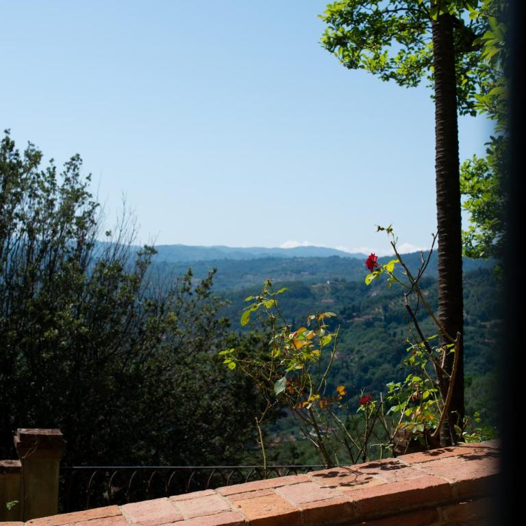 Dimora Belvedere - Casa Vacanze - 7