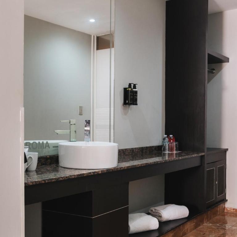Exe Cities Reforma - Superior Double Room with Hot tub - 1