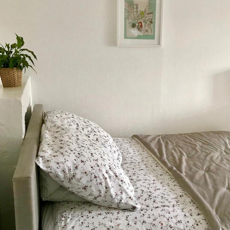 Studio Hyper centre ville - Appartement 1 Chambre - 4