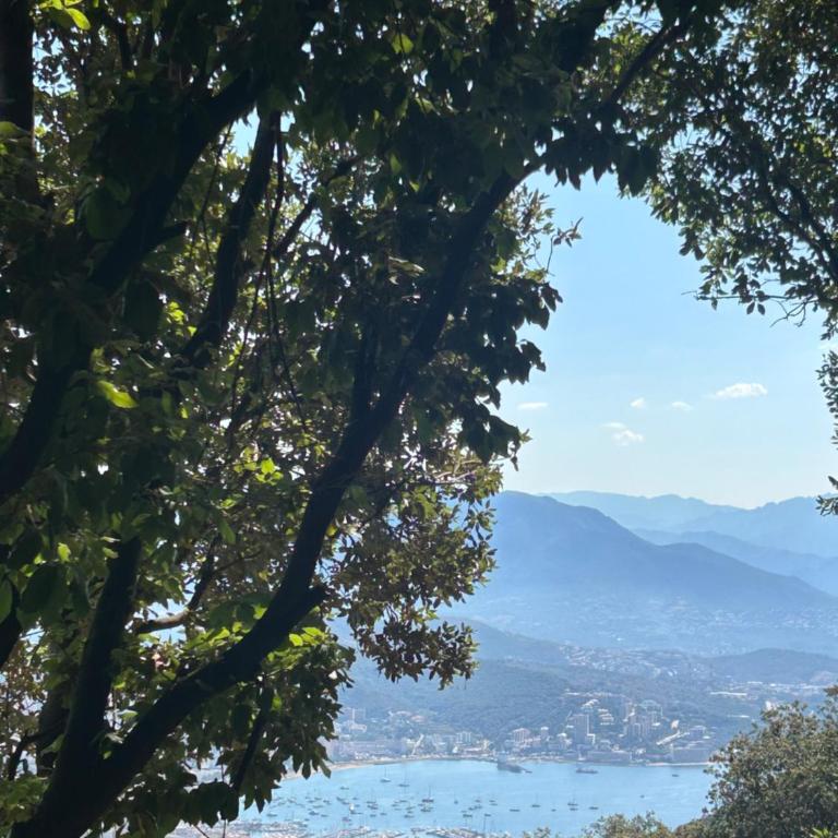 Tente Lodge avec Vue sur la Baie d'Ajaccio - Tente - 4