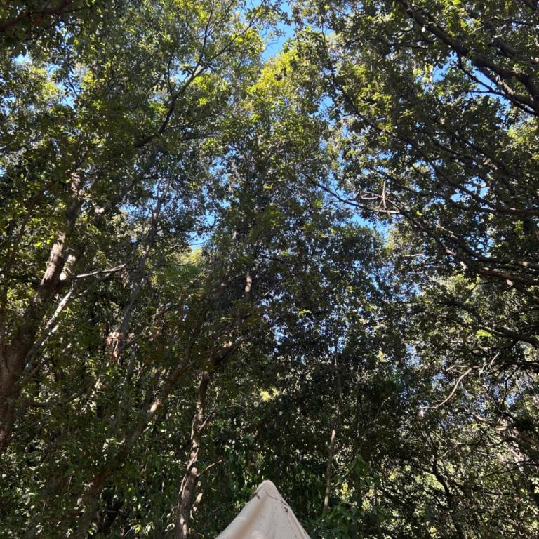 Tente Lodge avec Vue sur la Baie d'Ajaccio - Tente - 7