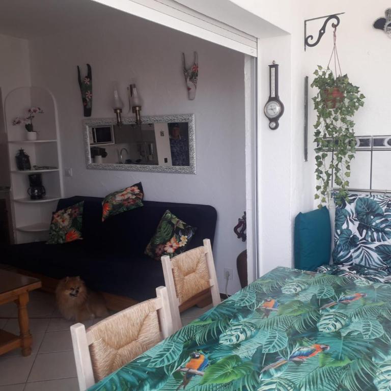 Ap vista mar cerca de la playa AV-84 - Apartamento de 1 dormitorio con vistas al mar - 10