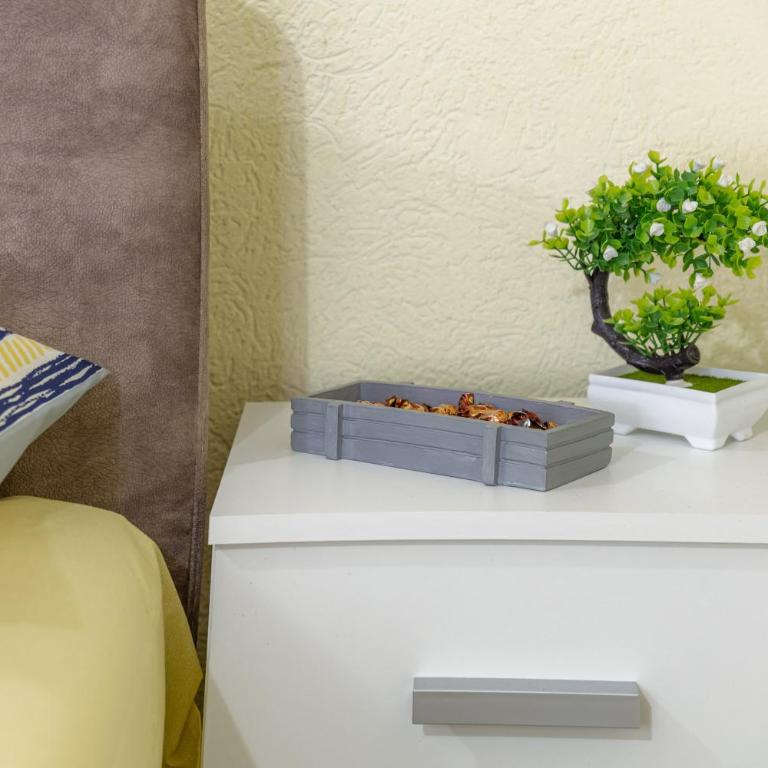 Apartman Dragicevic 1 with Garage - Apartman sa 1 Spavaćom Sobom - 6