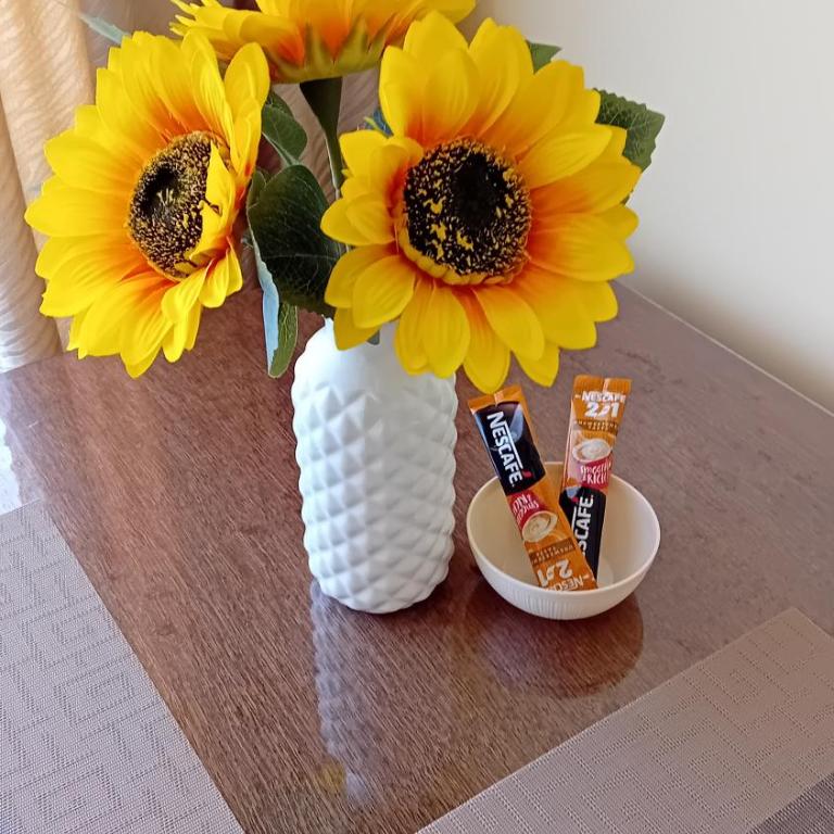 Apartmani Medijana Niš - Twin Room - 9