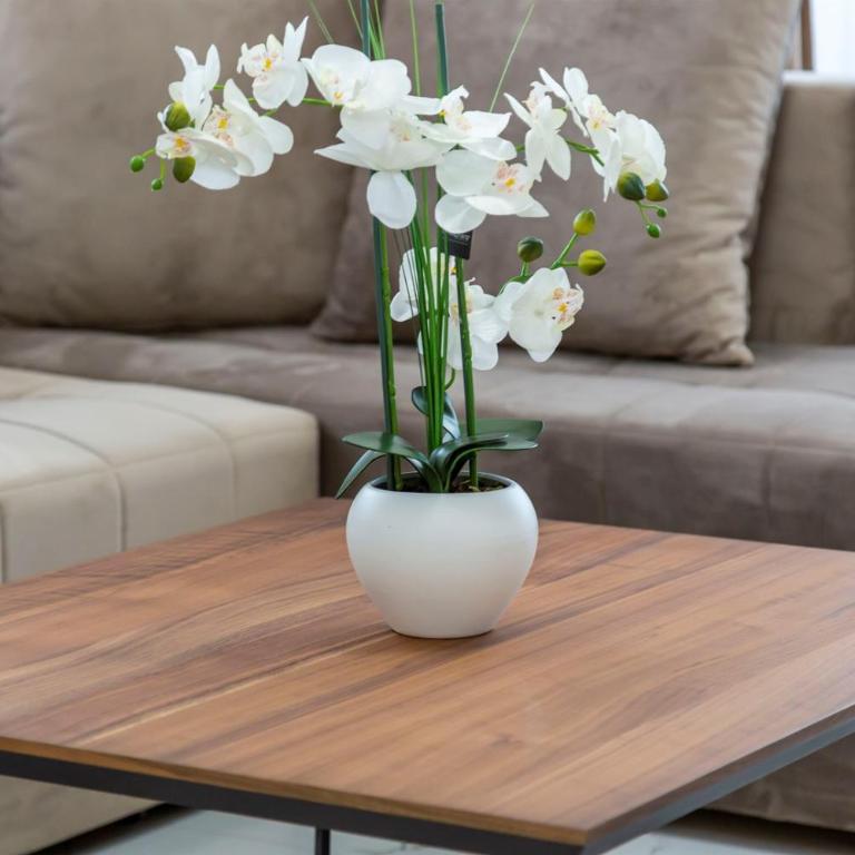 Hotel Lejla - One-Bedroom Apartment - 6