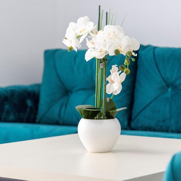 Hotel Lejla - Apartman sa 1 Spavaćom Sobom - 27