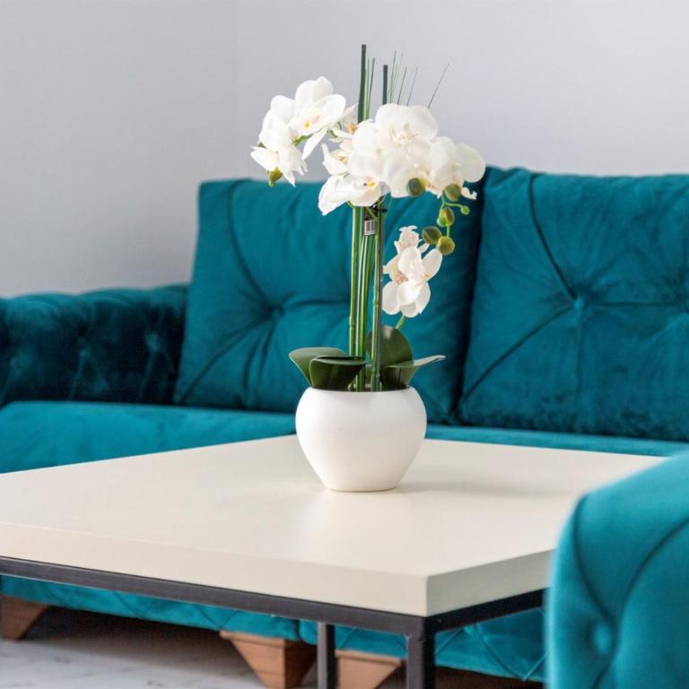 Hotel Lejla - One-Bedroom Apartment - 59