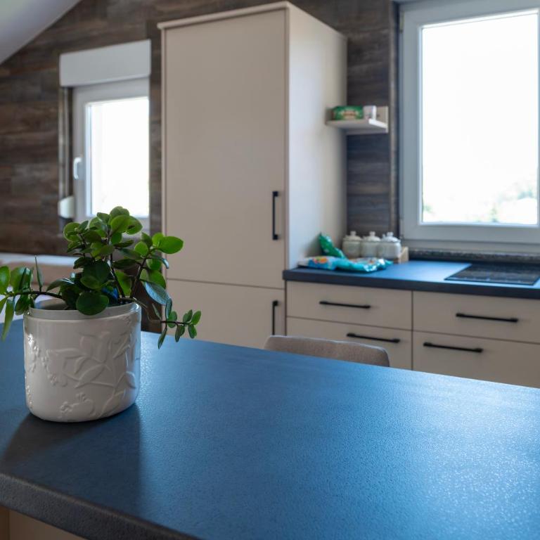 Apartman Ana23 - Apartman sa 1 Spavaćom Sobom - 21