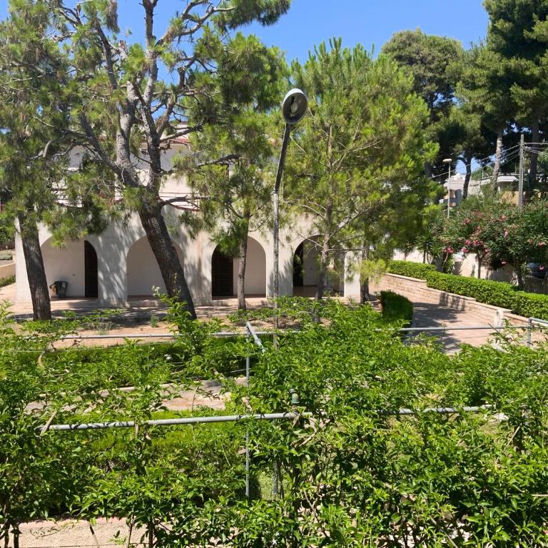 Villa Gandoli - Appartamento Coccinella - Appartamento con 2 Camere da Letto - 3