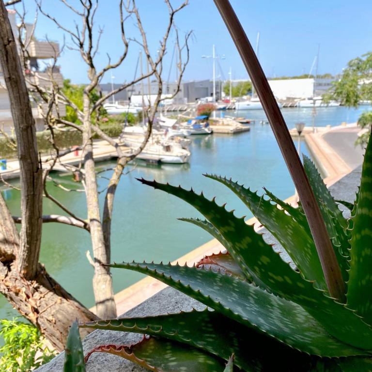 Superbe T2 au calme avec balcon sur la marina - 10 - Appartement 1 Chambre - 8