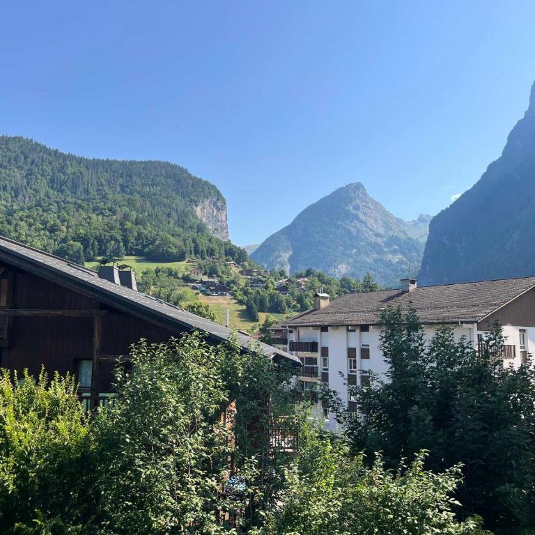 Studio chaleureux avec balcon au centre de Samoëns - FR-1-624-83 - Studio - 13