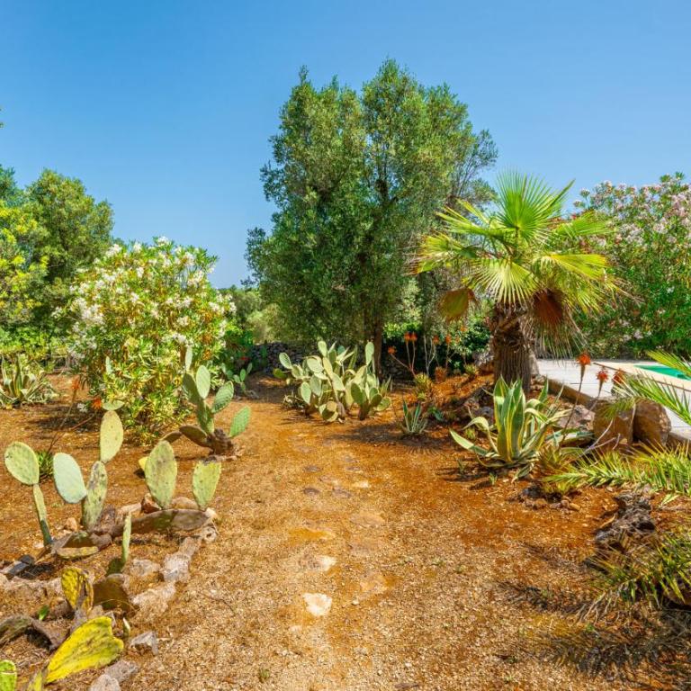 Tenuta Trullo Alto by Rentbeat - Villa - 69