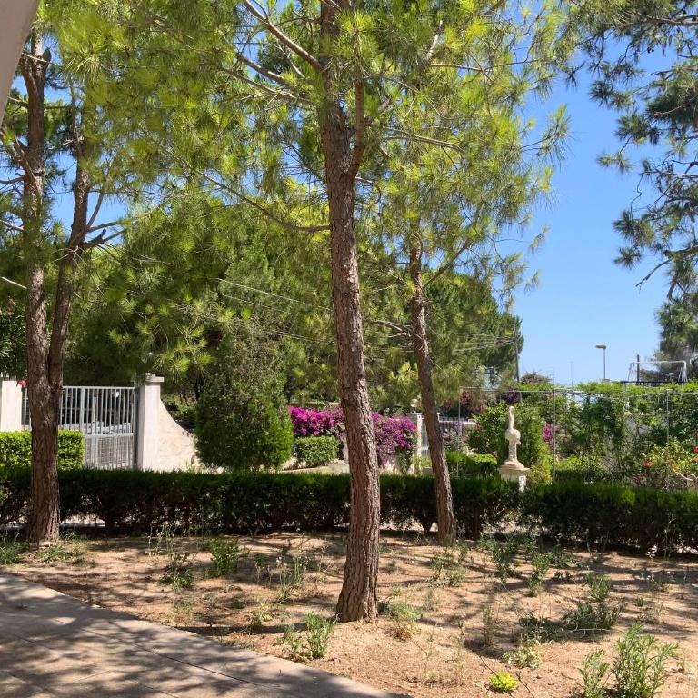 Villa Gandoli - Appartamento Coccinella - Appartamento con 2 Camere da Letto - 4