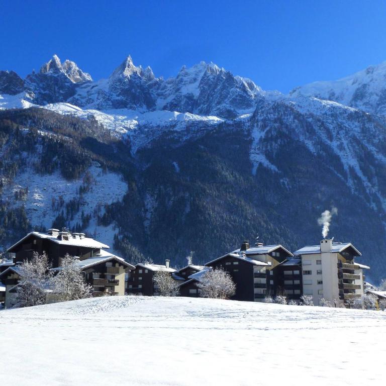 Appartement Chamonix, terrasse, 4 pers, parking privé - FR-1-343-172 - Appartamento - 12