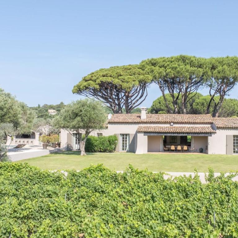 JAMES FCD56 - luxury villa with pool for rent in the vineyards near Saint Tropez - Villa - 18