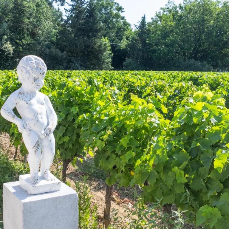 JAMES FCD56 - luxury villa with pool for rent in the vineyards near Saint Tropez - Villa - 30