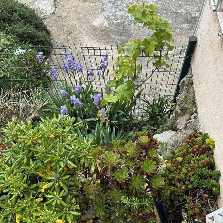 Family Villa SMB - Villa - Vue sur Jardin - 33