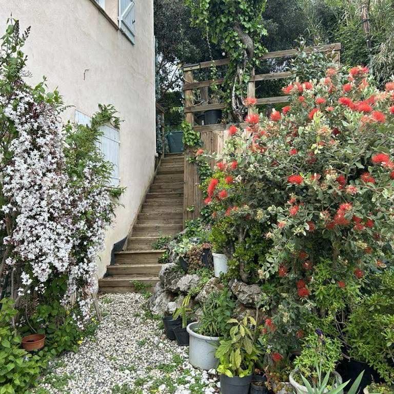 Family Villa SMB - Villa - Vue sur Jardin - 31