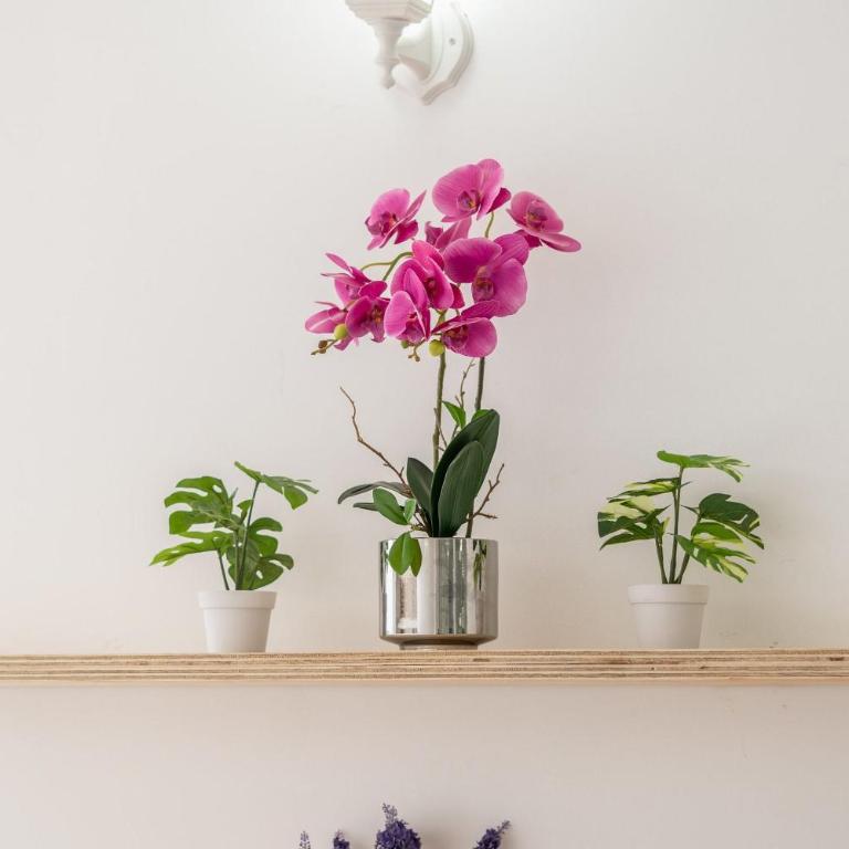 Cartagena Beach Resort 545 - Suite Junior Deluxe - 26