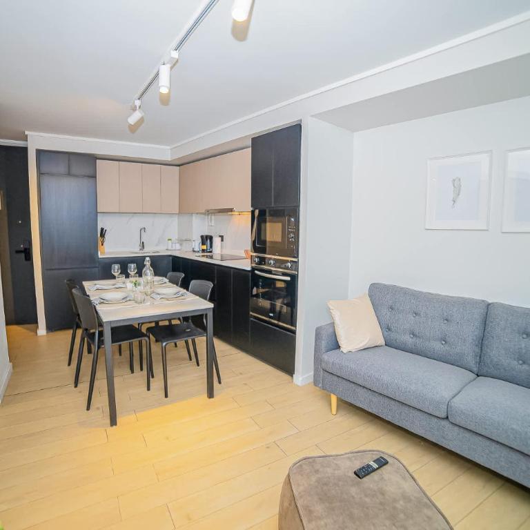 Vive el lujo urbano en Providencia - Apartamento - 2