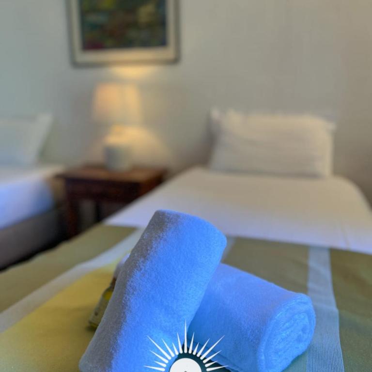 LA ROURETANE Pool AirCo for 10 By Sunset - Villa - 71