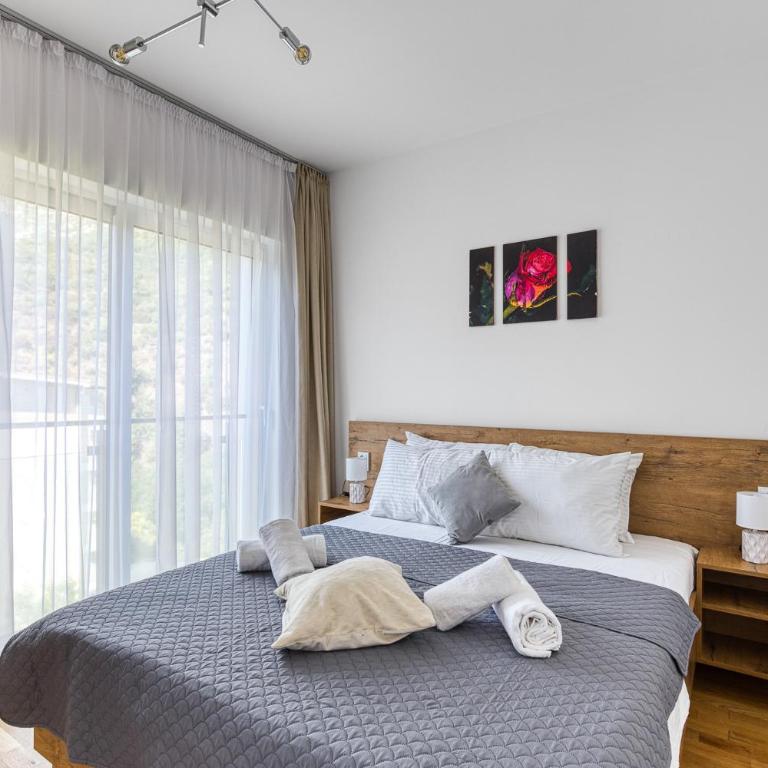 Sunny side Wellness Resort & Spa - Cascade - Superior Apartman sa 1 Spavaćom Sobom - 18